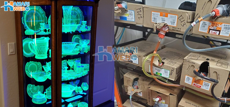 یہ کیسے ہو سکتا ہے ذرا ذہن کے گھوڑے دوڑائیں، کچھ تصاویر جو آپ کو سوچنے پر مجبور کر دیں