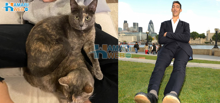 کچھ ایسے مناظر جن کی حقیقت آپ کو بار بار دیکھ کر بھی سمجھ نہیں آئے گی