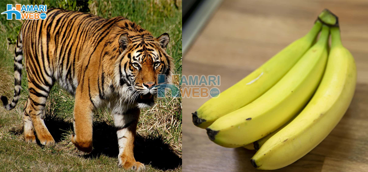 قدرت کے چند حسین تحفے ہمارے ہاتھوں سے نکل رہے ہیں