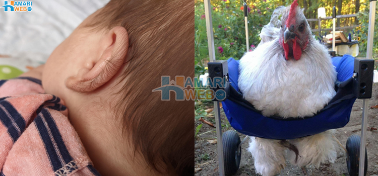 دنیا کے کچھ خوش قسمت لوگ جنہوں نے انوکھے مناظر دیکھ ڈالے