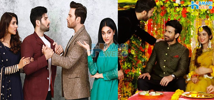 خون کے رشتوں میں دوری کی ایسی وجوہات جن کو جان کر گھر ٹوٹنے سے بچایا جاسکتا ہے