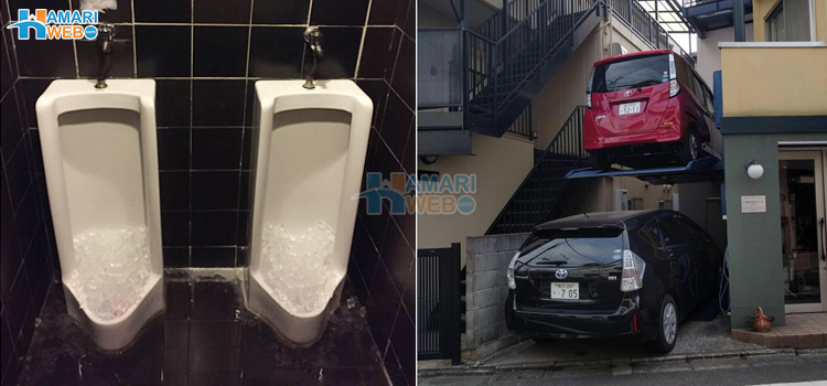 کچھ چیزیں جو دنیا کے صرف ان ہی دو ممالک میں دیکھی جا سکتی ہیں