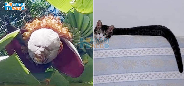 کچھ تصاویر جن کو سمجھنے کے لیے صرف دماغ ہی نہیں دل بھی لگانا پڑتا ہے