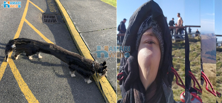 آپ کا موبائل بھی ایسی تصاویر لے سکتا ہے کوشش کرکے دیکھیں