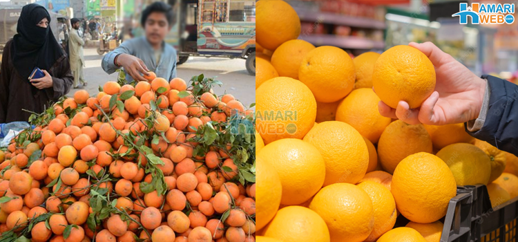 کینو، فروٹر اور مالٹا کے درمیان موجود پہچان کا ایسا فرق جو آپ کو دھوکے سے بچائے گا