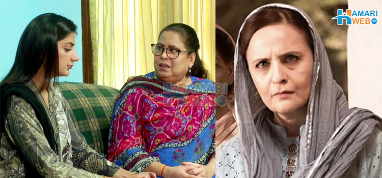 پہلی بار ساس بننے والی ایک خاتون کے کچھ خود سے کیے گئے وعدے