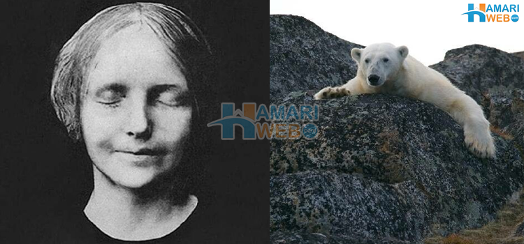 دنیا کے چند پریشان کن حقائق جن کے بارے میں “ نہ “ جاننا ہی آپ کے لیے بہتر ہوگا