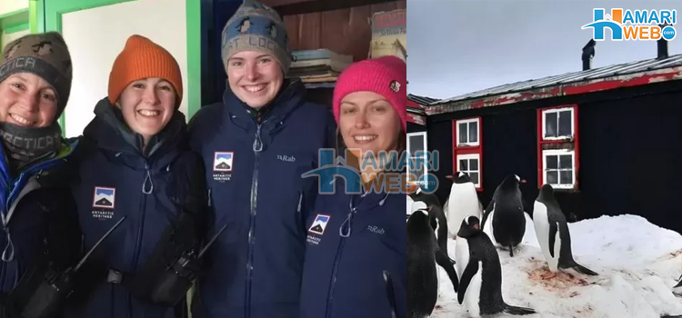 چار خواتین اور وہ سنسان جزیرہ جہاں نلکے میں پانی ہے نہ دنیا سے رابطے کے لیے انٹرنیٹ