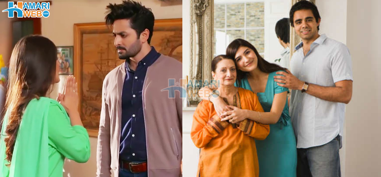 ہر شوہر کے ایک مسئلے کا ایسا حل جو چٹکیوں میں سب ٹھیک کر دے