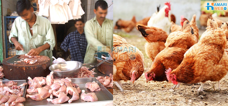 بغیر خرچے کے انڈے اور مرغیاں کھائيں٬ مہنگے چکن کو سستا بنانا اب آپ کے ہاتھ میں