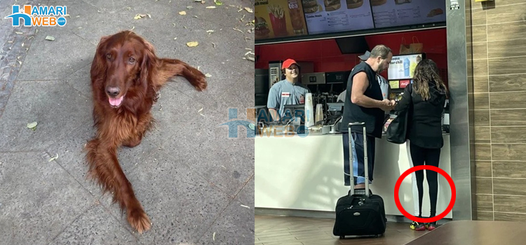 ایسی گمراہ کن تصویریں جنہیں سمجھنا حساب کے سوال سے بھی زیادہ مشکل