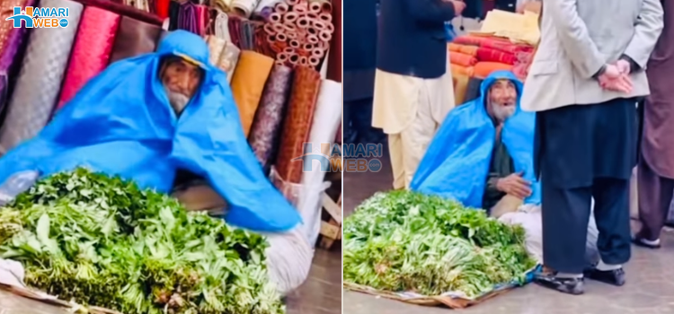 آخری عمر میں بھی ذمہ داریوں کا بوجھ اٹھائے کام پر مجبور باپ کے چند افسردہ کردینے والے روپ