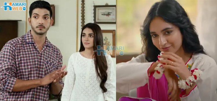 پاکستانی ڈرامے لڑکیوں کو کیا بنانا چاہ رہے ہیں؟