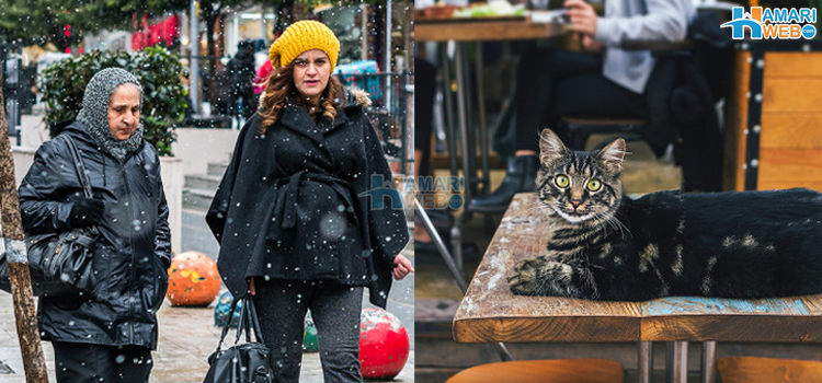 ترکی میں ایک چیز کبھی نہ بھولیں ورنہ... ترک قوم کی 6 دلچسپ عادات جو آپ کو حیران کردیں