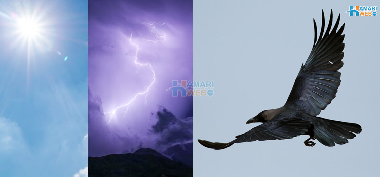 اکیلا کوا اڑتا دیکھیں تو۔۔۔ موسم کی پیشن گوئی جو ہم اپنے اردگرد کی چیزوں سے بھی کر سکتے ہیں 