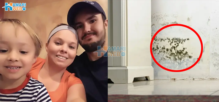 کیسے دیوار پر لگی پھپھوندی نے پورے گھر کا شیرازہ ہی بکھیر دیا؟