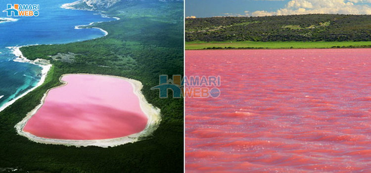 پہلے جو ہم جانتے تھے وہ آدھا سچ تھا٬ سائنسدانوں نے گلابی جھیل کا راز کھول دیا