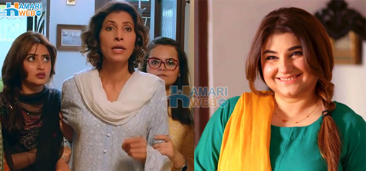 پاکستان ٹی وی کے کچھ ڈرامے جن میں پھپھو کے کردار نے مثال قائم کر دی