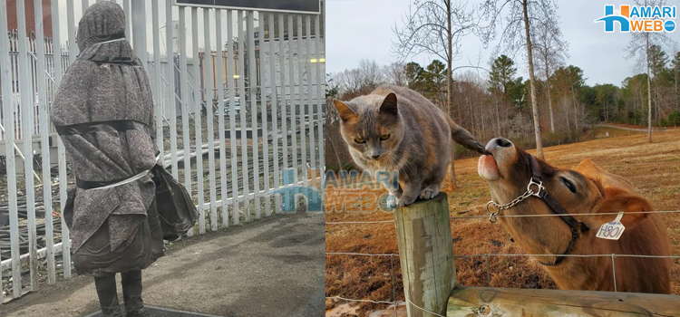 کیا آپ کو اس بات کی توقع تھی٬ 8 تصاویر جو ثابت کرتی ہیں کہ دنیا میں کبھی بھی کچھ بھی ہوسکتا ہے