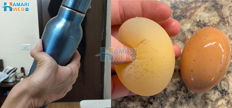 کیمرہ ہاتھ میں ہونے کا فائدہ اٹھانے والے کچھ حیرت انگیز لوگ