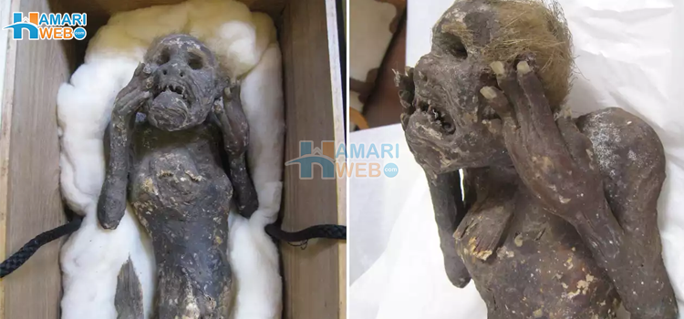 پراسرار مخلوق کے راز سے پردہ اٹھ گیا٬ جاپانی 40 سال تک کس چیز کی پوجا کرتے رہے؟