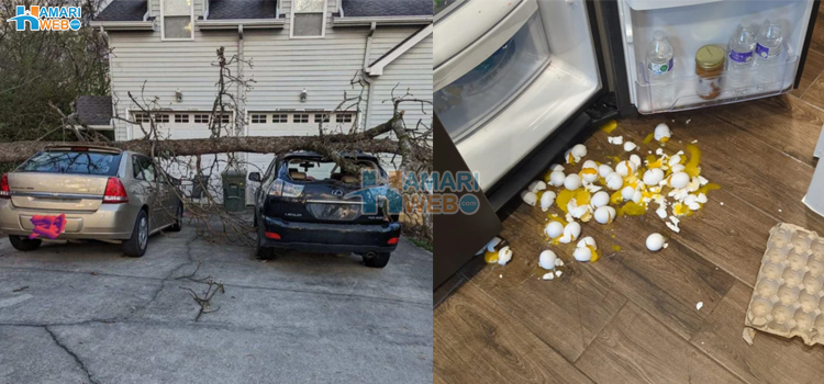 8 تصاویر میں موجود بدترین لمحات جن کی ذمہ داری کوئی شاید ہی قبول کرے