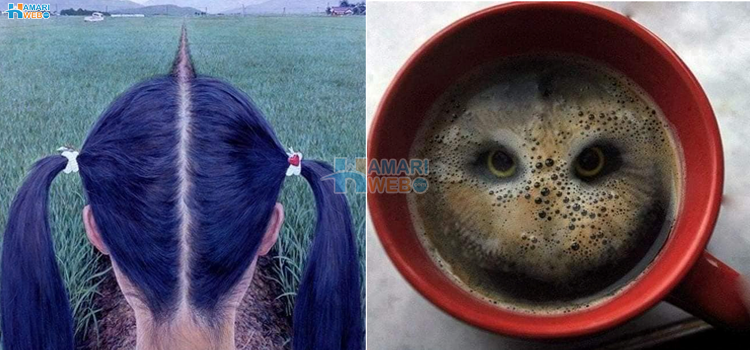 کچھ ناممکن نظر آنے والے مناظر جو آپ کو بار بار اپنی آنکھیں ملنے پر مجبور کردیں