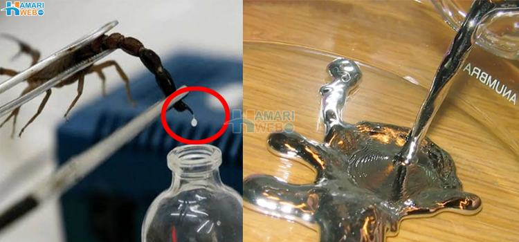 دنیا کے مہنگے ترین لیکویڈ جن کی قیمت آپ کے ہوش اڑا دے