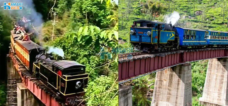 دنیا کی سست ترین ٹرین جس کا سفر لوگ شوق سے کرتے ہیں