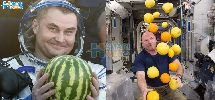 خلا باز کھاتے کیا ہیں اور اگر انھیں خلا میں پیزا کی یاد ستانے لگے تو؟