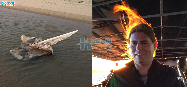 یہ دھوکہ نہیں سچ ہے٬ 8 تصاویر جن کی حقیقت جان کر آپ کا اپنی ہی آنکھوں پر سے یقین اٹھ جائے گا