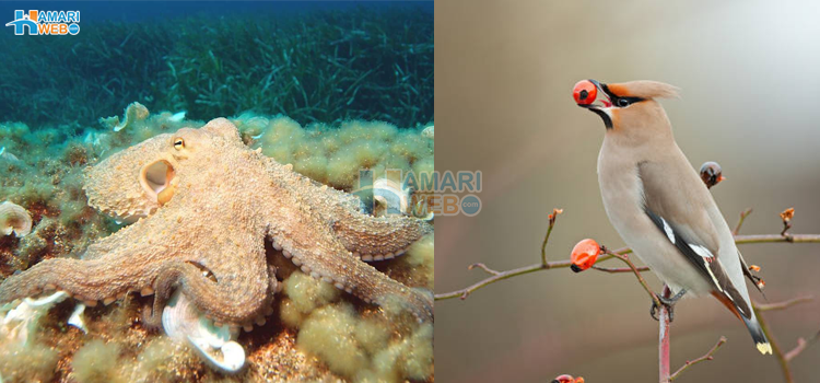 جانوروں سے جڑے ایسے حقائق جو آپ کو افسردہ کردیں گے