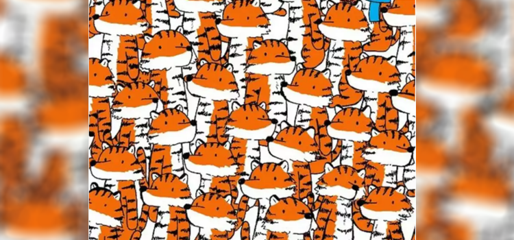 نظر اور دماغ کا امتحان٬ کیا آپ شیروں کے درمیان چھپی ہوئی چار بلیوں کو تلاش کر سکتے ہیں؟