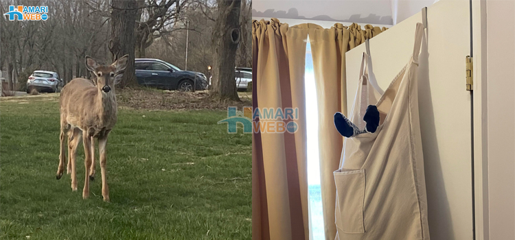 نہیں یہ نہیں ہو سکتا! وہ 8  عجیب و غریب لمحات جب آپ کھلی آنکھوں سے بھی دھوکہ کھا جاتے ہیں