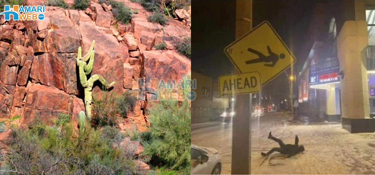 ارے! یہ کیسے ہو سکتا ہے؟ عقل کو حیران کر دینے والے کچھ مناظر