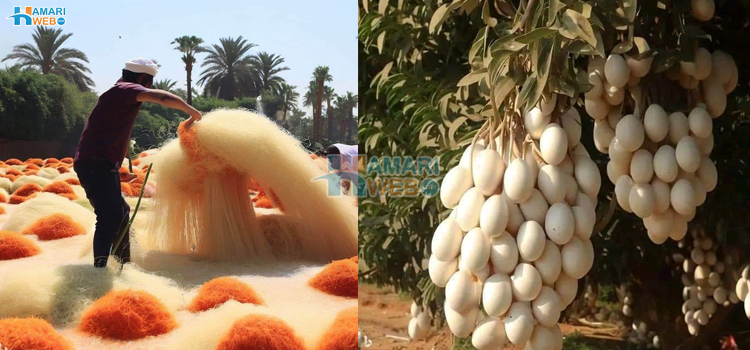 اب انڈے اور پاستا بھی پودوں کی طرح اگائے جاسکتے ہیں٬ سوشل میڈیا پر وائرل تصاویر