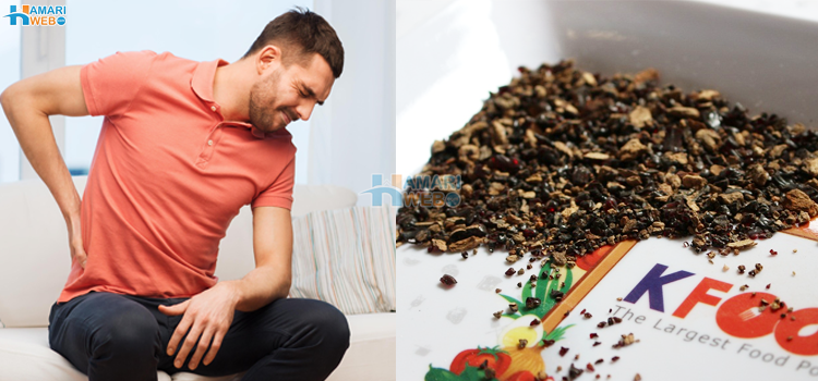 کمر درد کو خدا حافظ٬ ایسی جڑی بوٹی جو کمر درد دور کرنے کے ساتھ اور بیماریوں سے بھی بچائے