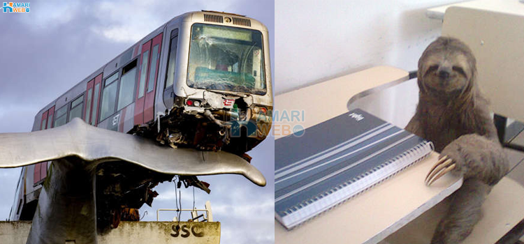 آخر یہ ہوا کیسے؟ عجیب و غریب لمحات جنہیں کیمرے نے ہمیشہ کے لیے قید کرلیا٬ آپ بھی دیکھیے