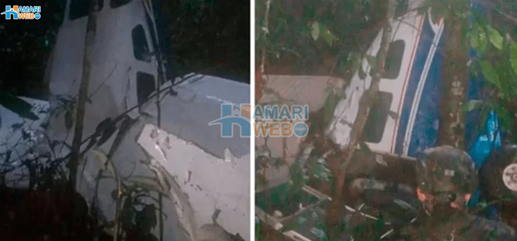 معجزہ٬ طیارہ حادثے کے شکار 4 بچے 2 ہفتوں کے بعد کہاں سے زندہ ملے؟