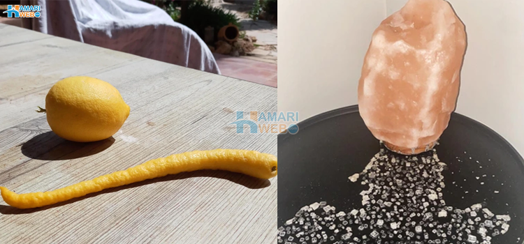 لیموں ایسا بھی ہوتا ہے٬ 8 انوکھی تصاویر - آپ مان لیں کہ دنیا میں آج تک کچھ نہیں دیکھا