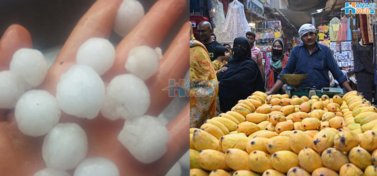 لوگ خوش ہیں لیکن اصل حقیقت نہیں جانتے٬ بےموسمی بارشیں اور ژالہ باری پاکستان کو کیسے نقصان پہنچا رہی ہیں؟