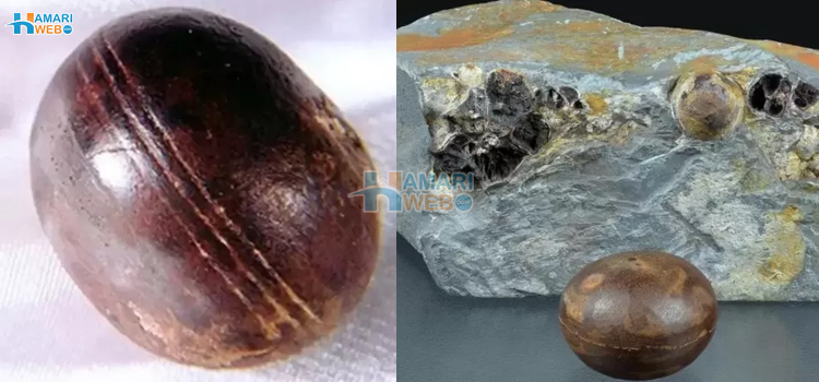 کرکٹ کی گیند کی شکل کے پراسرار گولے جو اربوں سال پرانی چٹانوں سے دریافت ہوئے