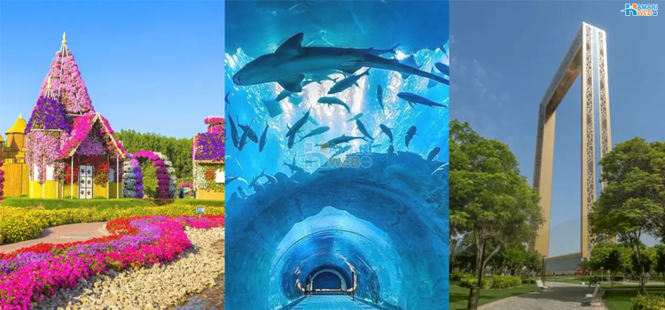 دبئی کے 5 دلچسپ مقامات جنہیں آپ کبھی نہیں فراموش کر پائیں گے