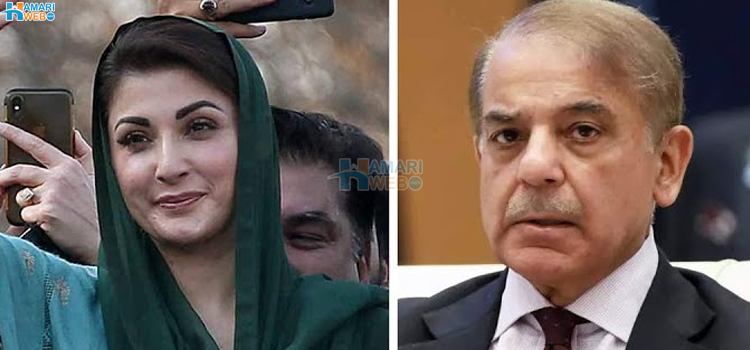 شہباز (ن) لیگ کے صدر مریم نائب صدر۔۔ سیاسی جماعتیں یا فیملی لمیٹڈ کمپنیاں