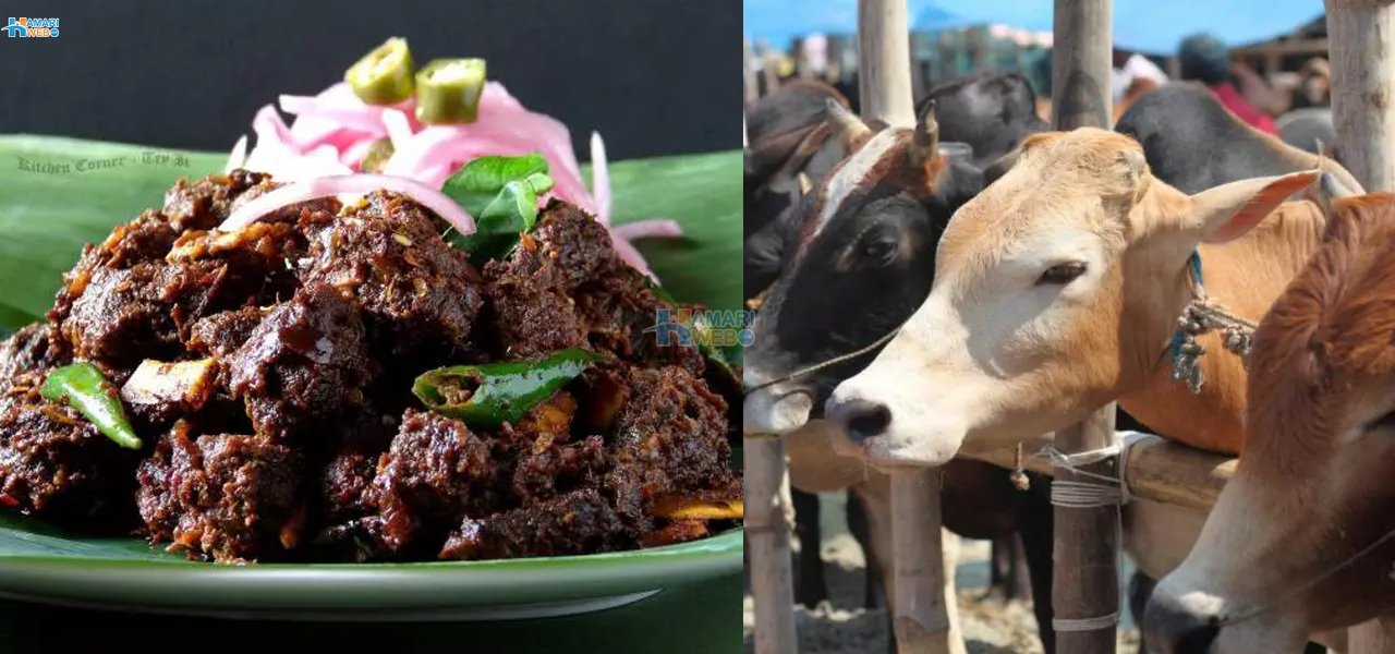 گوشت ضرور کھائیں لیکن ان 5 باتوں کا بھی خیال رکھیں ورنہ نقصان ہوسکتا ہے