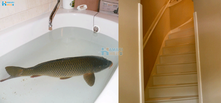 6 چیزیں جو دوسرے ممالک میں 'عام' لیکن ہمارے لیے عجیب ہوسکتی ہیں