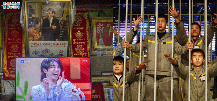 6 کام پاکستان میں تو آسان لیکن چین میں کیے تو جیل ہوسکتی ہے