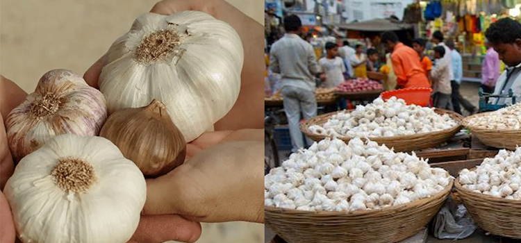 لہسن کے فوائد٬ سونے کے بھاؤ ملے تو بھی ضرور کھائیں