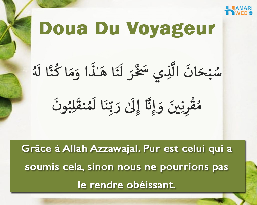 Doua Du Voyageur