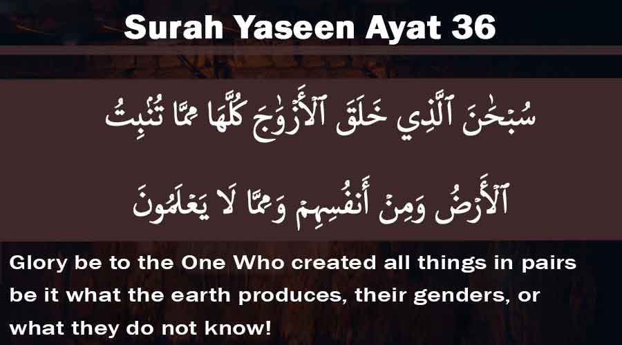 Surah Yaseen Ayat 36